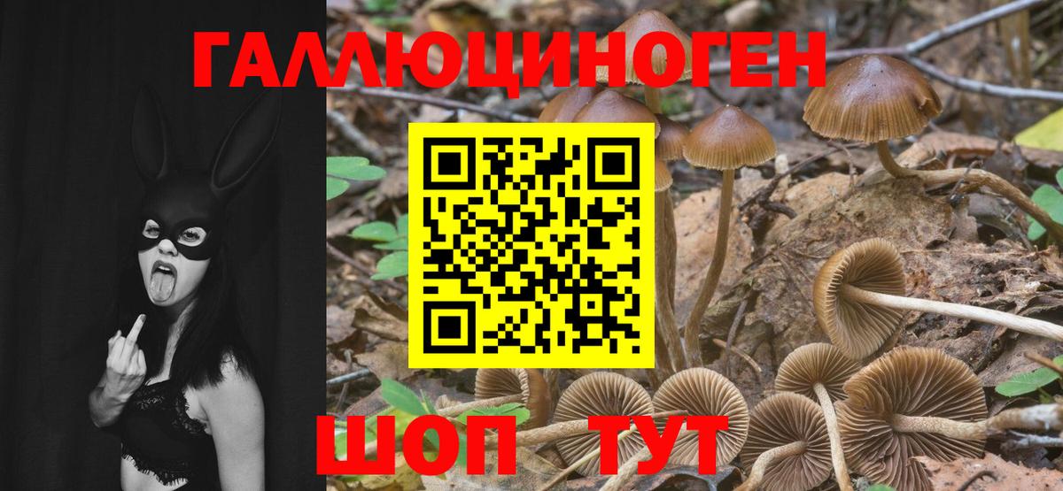 что такое наркотик  Вход с VPN  Псилоцибиновые грибы прущие грибы  Симферополь  Галлюциногенные грибы MAGIC MUSHROOMS 